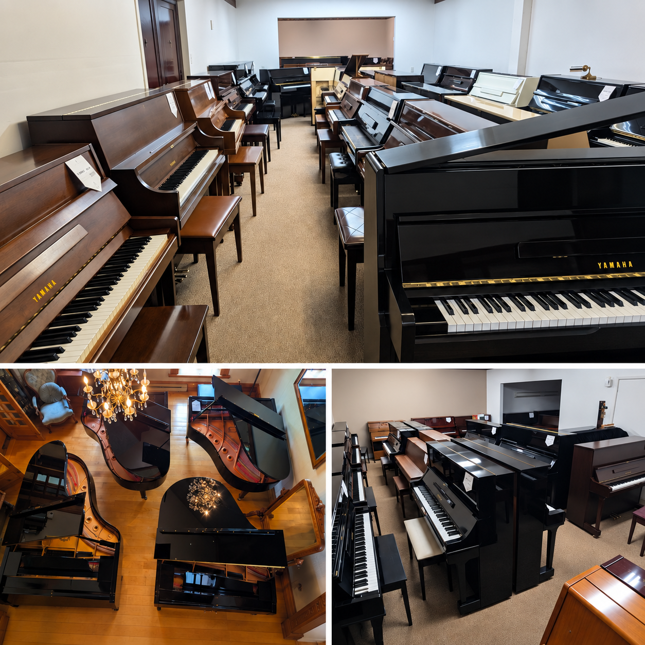 Pianos droits et pianos à queue dans la salle de montre Piano Expert à Lévis, Saint-Nicolas