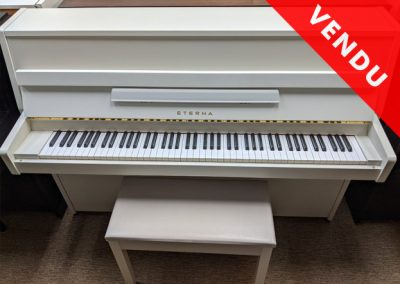 YAMAHA ETERNA ER-10