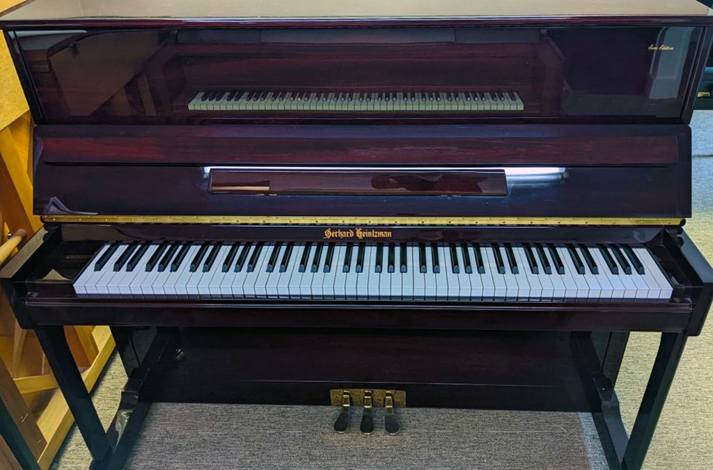 GERHARD HEINTZMAN G-118