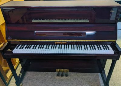 GERHARD HEINTZMAN G-118