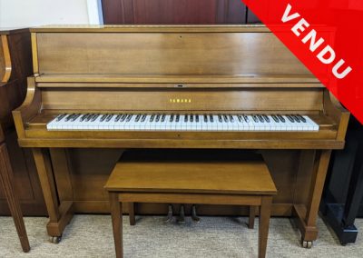 YAMAHA P22