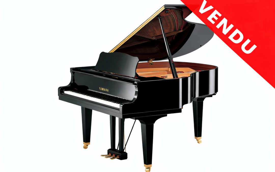 YAMAHA GH1 5&rsquo;3&Prime;