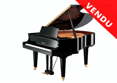YAMAHA GH1 5’3″