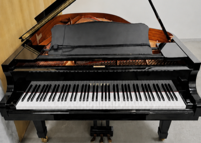 YAMAHA C2 2012